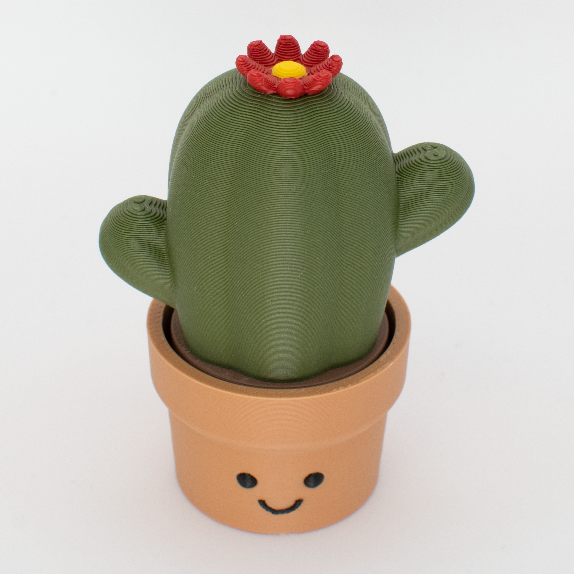 Huggable Cactus Clicker